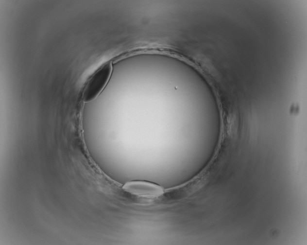 X0000112771165200908201343