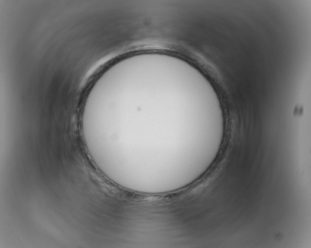 X0000112771166200908201343