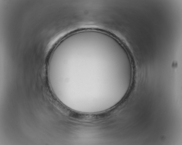 X0000112771167200908201343