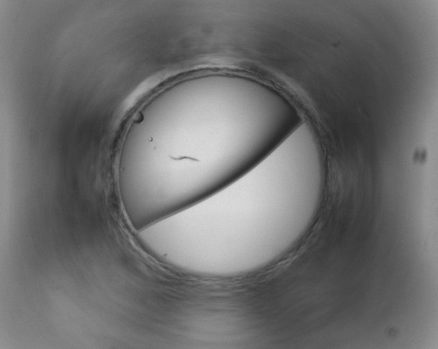 X0000112771168200908201343