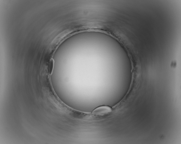 X0000112771169200908201343