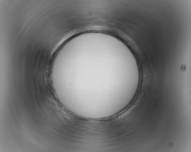 X0000112771170200908201343