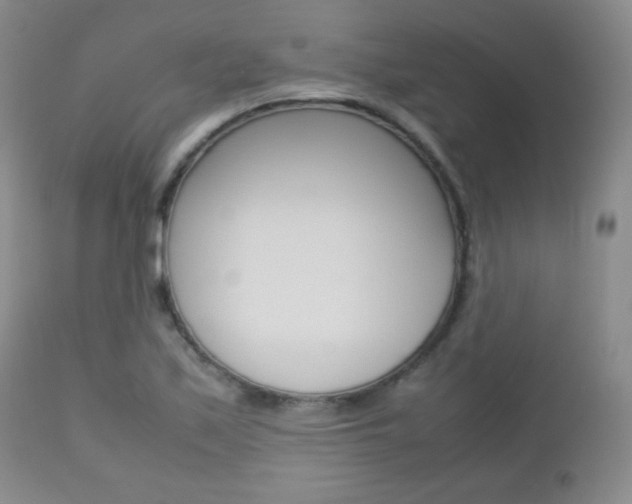 X0000112771171200908201343