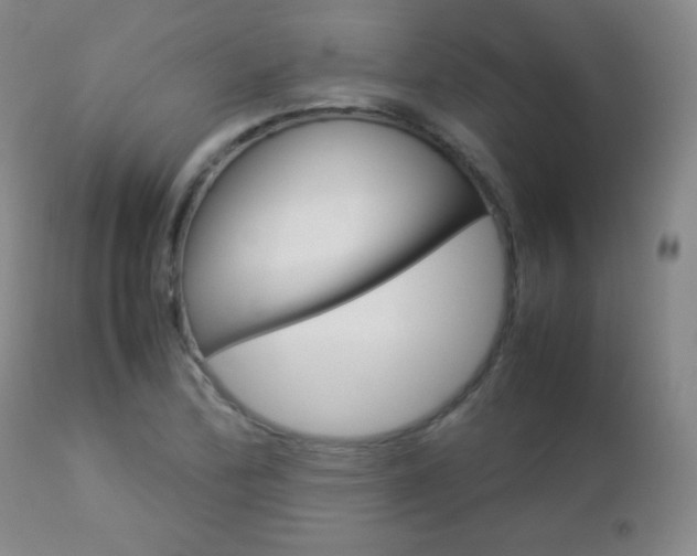X0000112771172200908201343