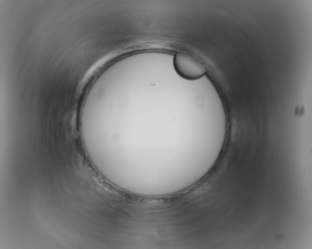 X0000112771174200908201343