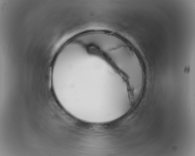 X0000112771175200908201343