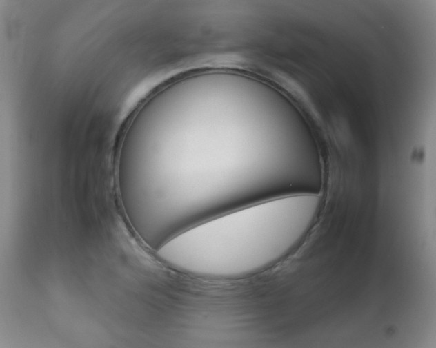 X0000112771176200908201343