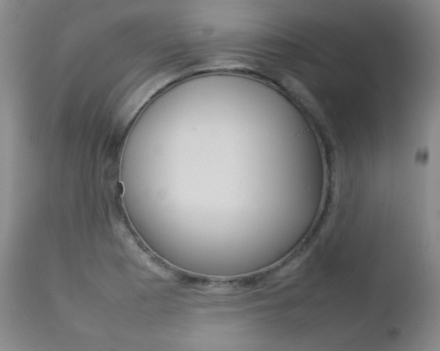 X0000112771177200908201343