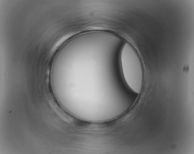 X0000112771179200908201343