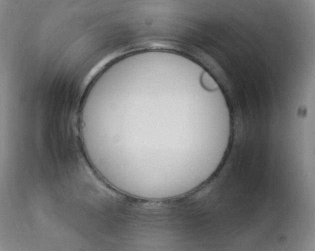 X0000112771182200908201343