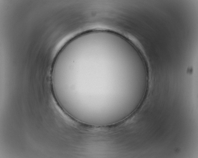 X0000112771183200908201343