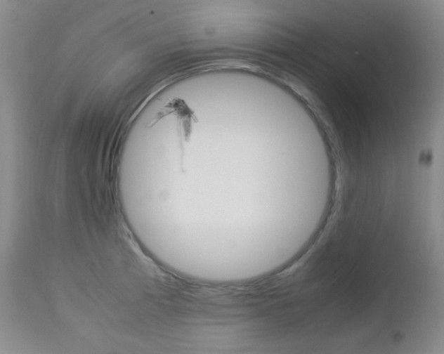 X0000112771185200908201343