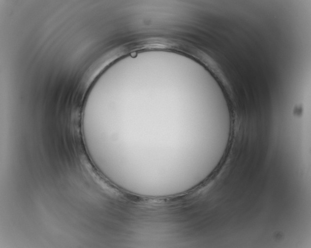 X0000112771186200908201343