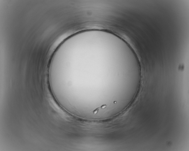 X0000112771187200908201343