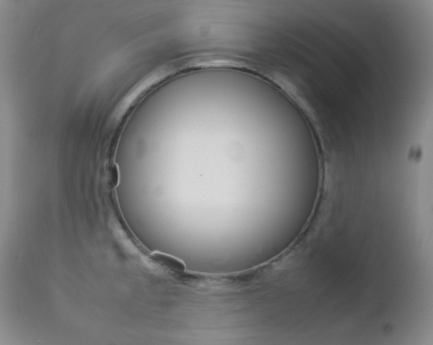 X0000112771189200908201343
