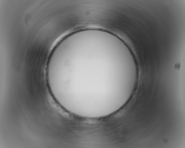 X0000112771190200908201343