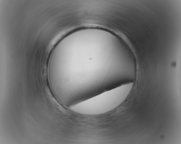 X0000112771191200908201343