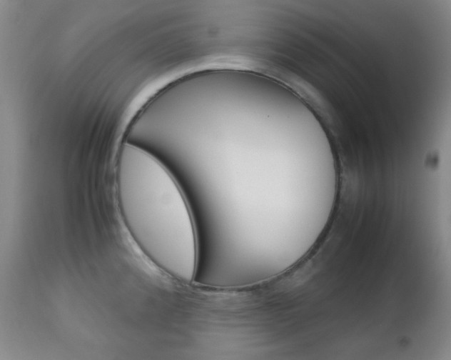 X0000112771192200908201343