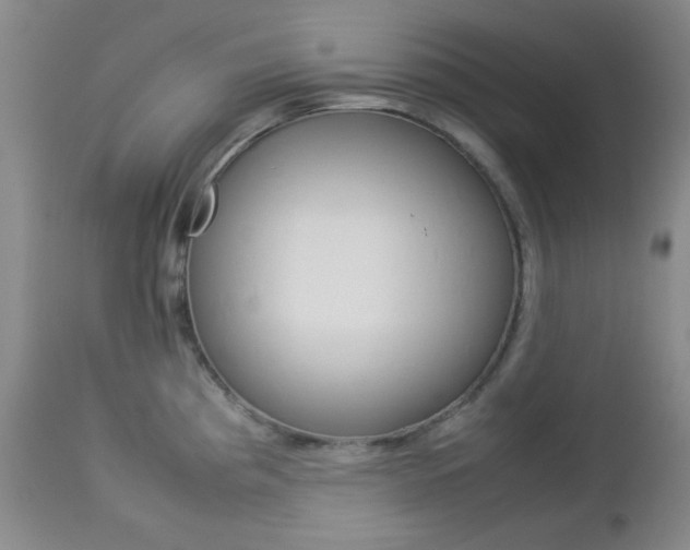 X0000112771193200908201343