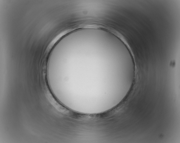 X0000112771195200908201343