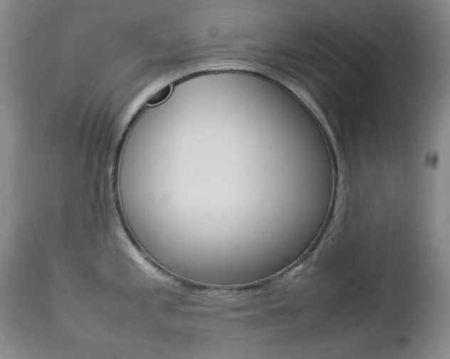 X0000112771197200908201343
