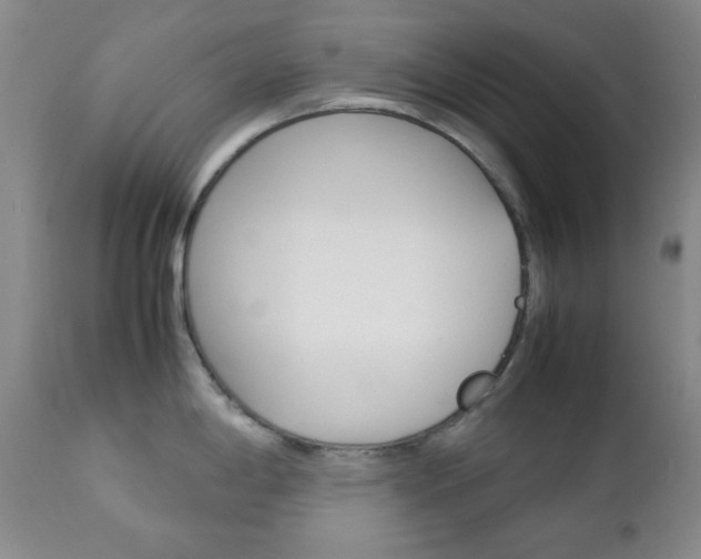 X0000112771198200908201343