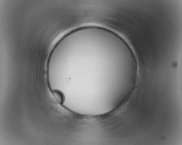 X0000112771199200908201343