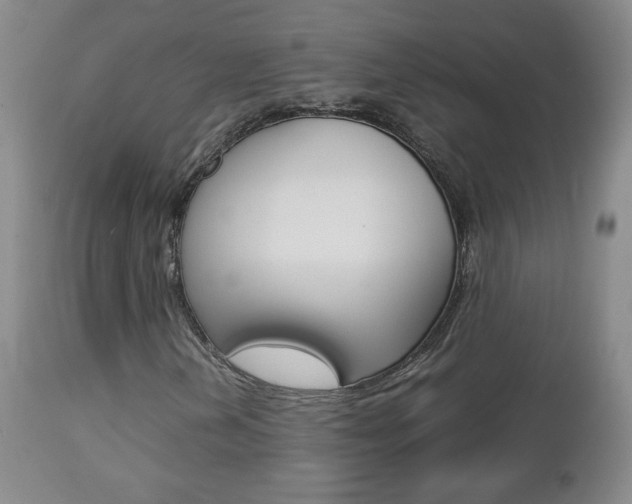 X0000112771202200908201342