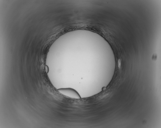 X0000112771203200908201342