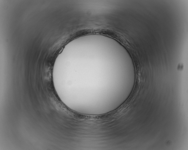 X0000112771204200908201342