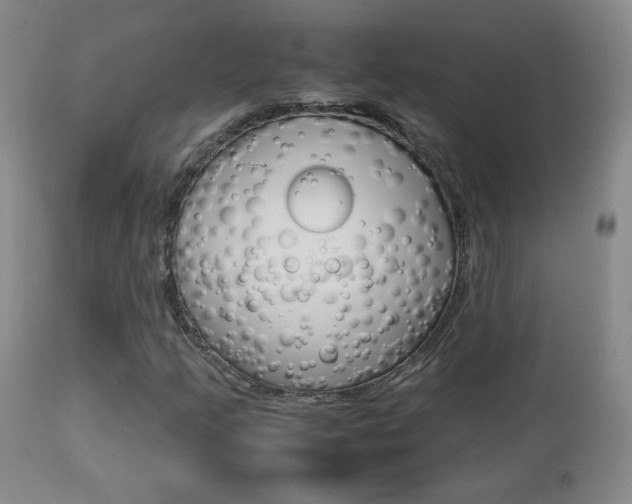 X0000112771205200908201342