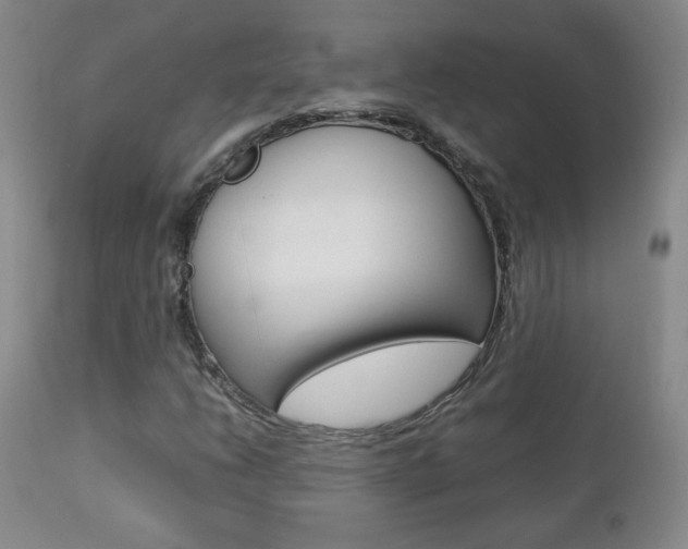 X0000112771206200908201342
