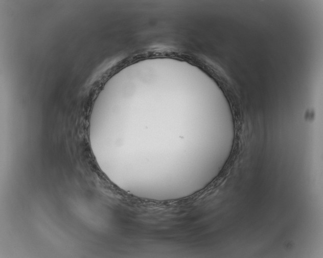 X0000112771207200908201342