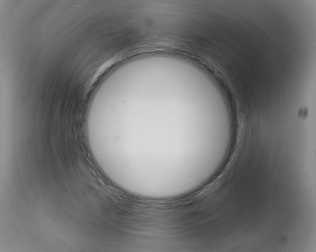 X0000112771210200908201342