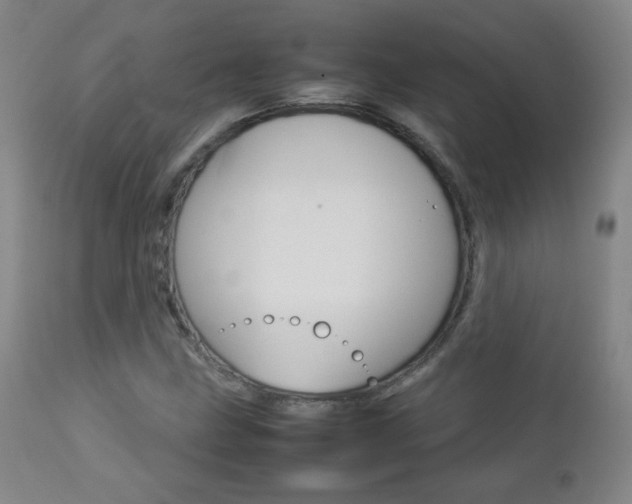 X0000112771211200908201342