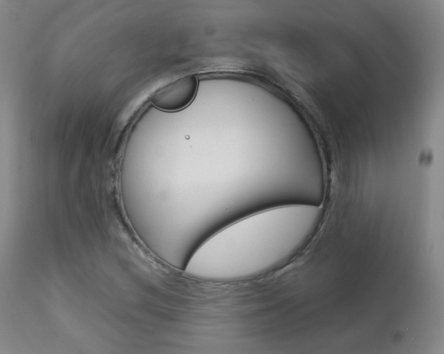 X0000112771212200908201342