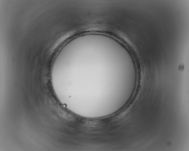 X0000112771213200908201342
