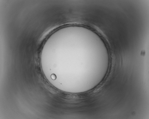 X0000112771215200908201342