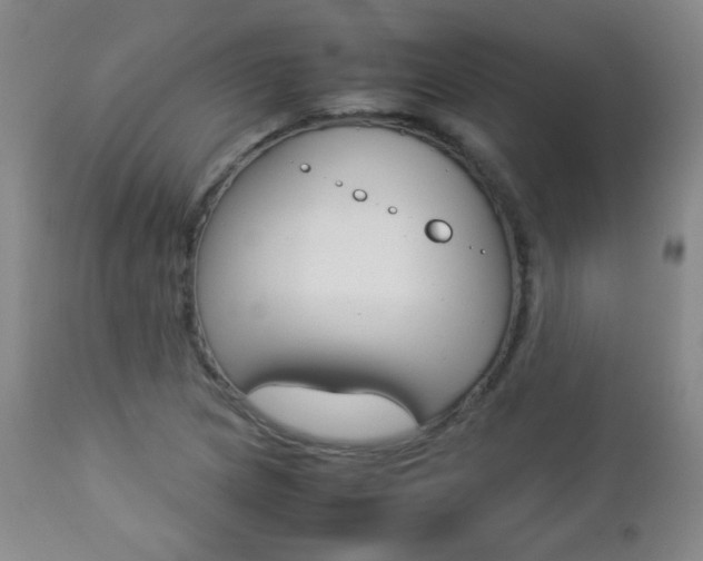 X0000112771217200908201342
