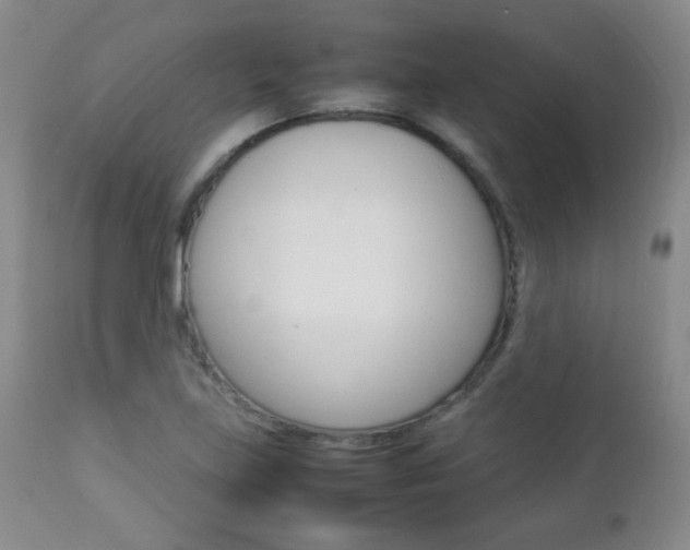 X0000112771219200908201342