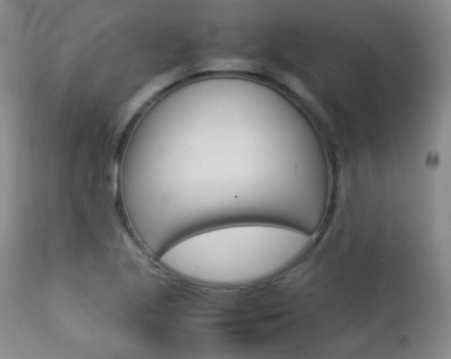 X0000112771221200908201342