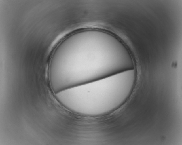 X0000112771224200908201342