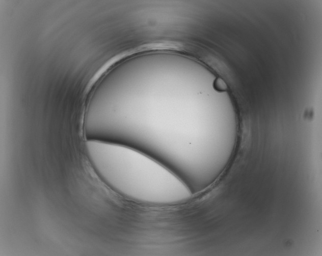 X0000112771228200908201342