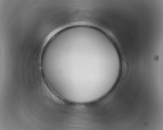 X0000112771230200908201342