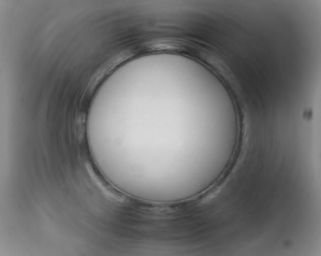 X0000112771233200908201342