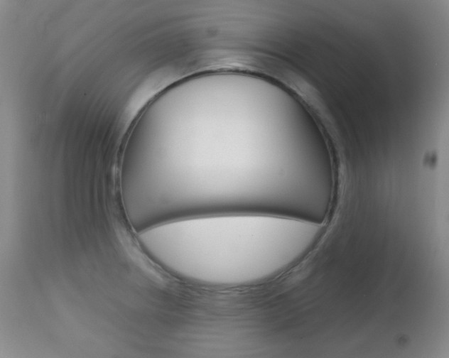 X0000112771234200908201342