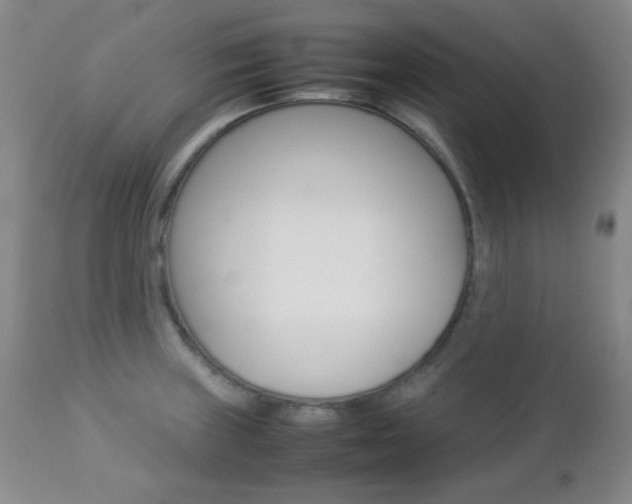X0000112771235200908201342