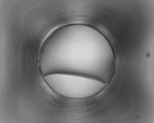 X0000112771236200908201342