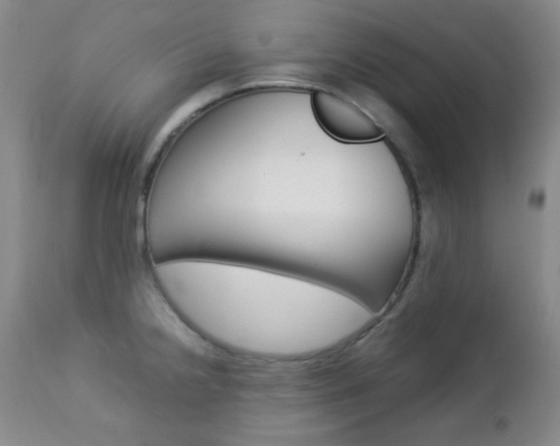 X0000112771238200908201342