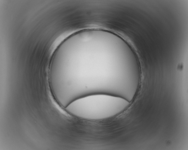 X0000112771239200908201342